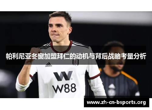 帕利尼亚冬窗加盟拜仁的动机与背后战略考量分析