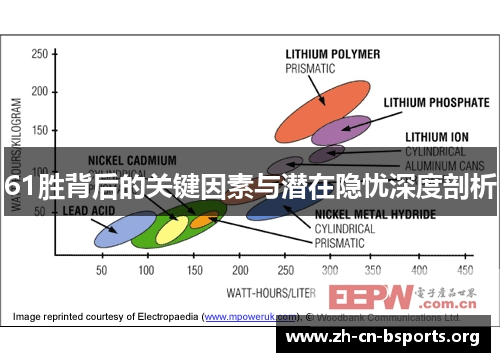 61胜背后的关键因素与潜在隐忧深度剖析