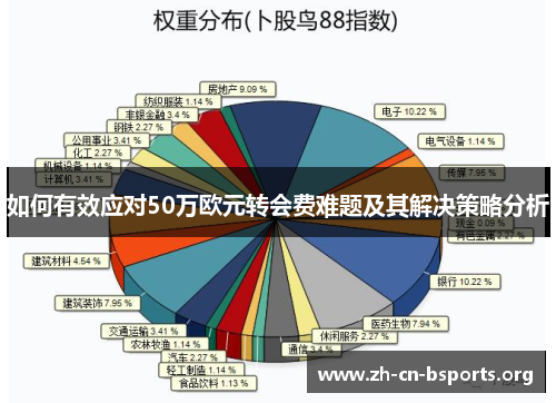 如何有效应对50万欧元转会费难题及其解决策略分析